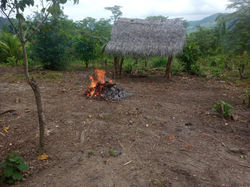 WhatsApp Image 2019-12-14 at 5.17.05 PM