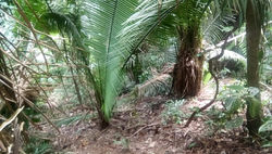 WhatsApp Image 2019-11-05 at 13.46.11