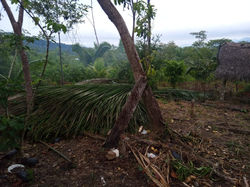 WhatsApp Image 2019-11-24 at 2.10.27 PM(3)