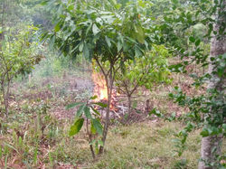 WhatsApp Image 2019-12-01 at 11.40.57 AM