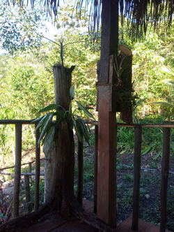 WhatsApp Image 2020-06-26 at 4.50.09 PM (2) - Kopie