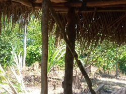 WhatsApp Image 2019-11-18 at 6.40.59 PM