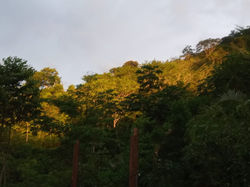 WhatsApp Image 2019-11-24 at 2.09.08 PM(1)