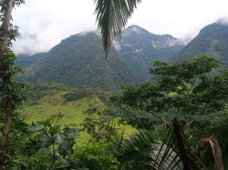 WhatsApp Image 2019-12-15 at 11.27.37 AM - Kopie