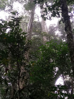 WhatsApp Image 2019-11-24 at 2.09.04 PM(3)