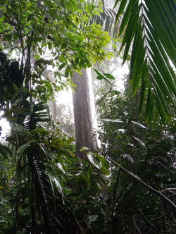 WhatsApp Image 2019-11-24 at 2.09.06 PM(1)