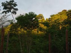 WhatsApp Image 2019-11-24 at 2.09.08 PM - Kopie