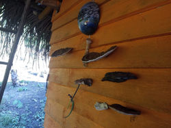 WhatsApp Image 2020-06-26 at 4.50.11 PM (1)