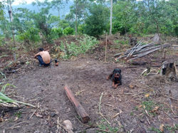 WhatsApp Image 2019-11-24 at 2.10.27 PM(1)