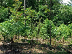 WhatsApp Image 2019-11-18 at 6.42.00 PM