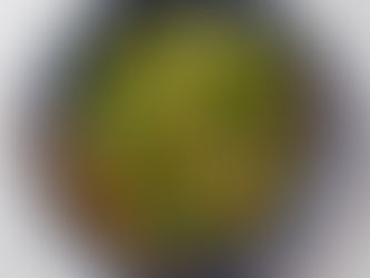 Hirtelen sütött gombás pak choi