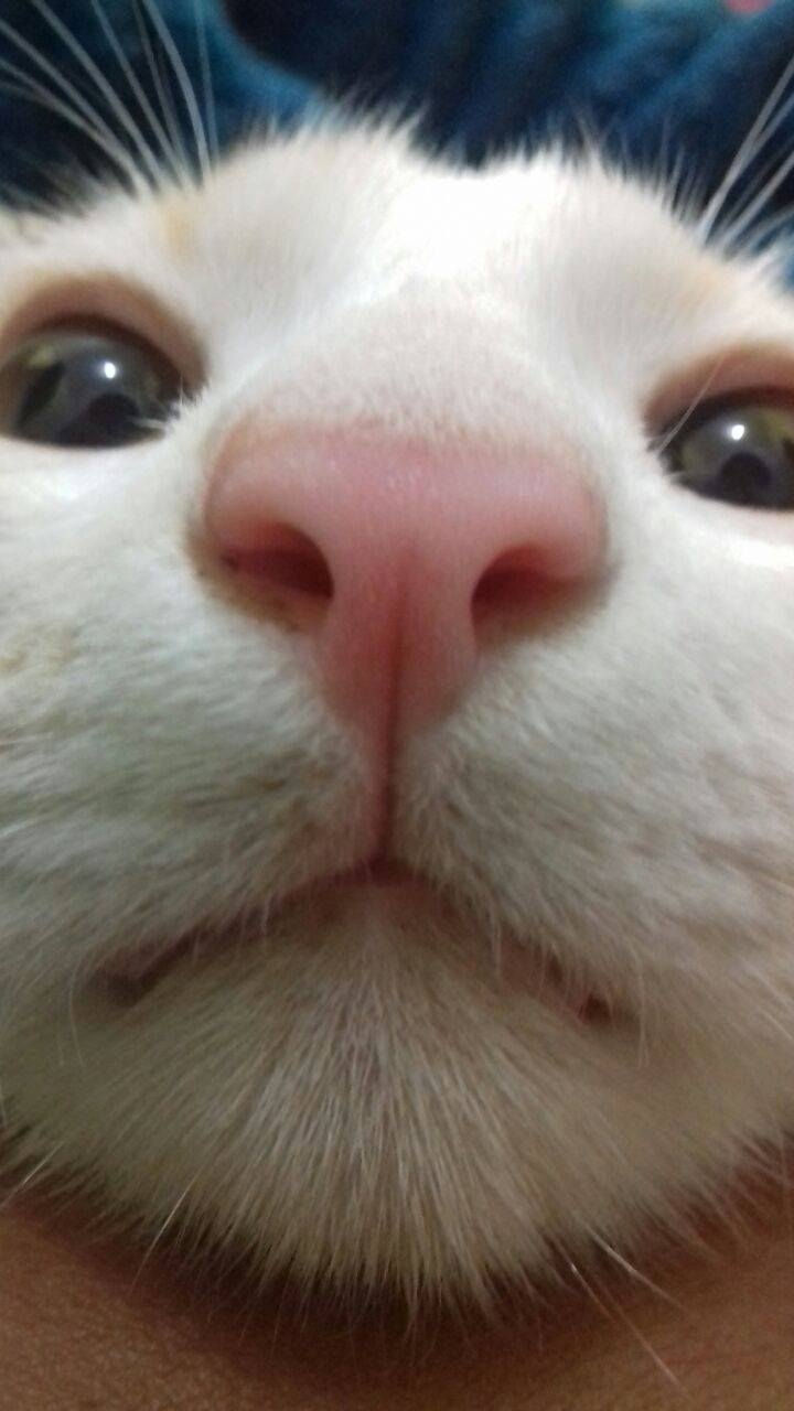 20883603_1946122012328960_769140451_o