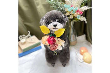 名称未設定のデザイン (48).jpg