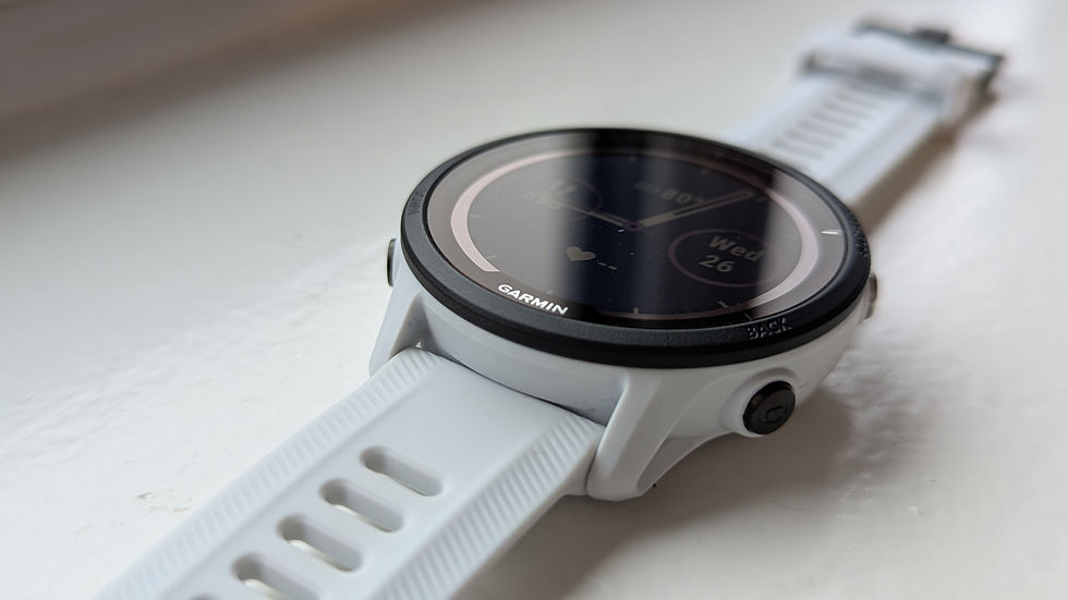 Picture of Garmin Forerunner 955 Solar Whitestone