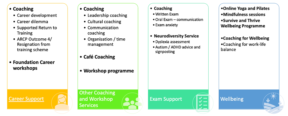 TIF Wellbeing and PSWS plan - DAB.png