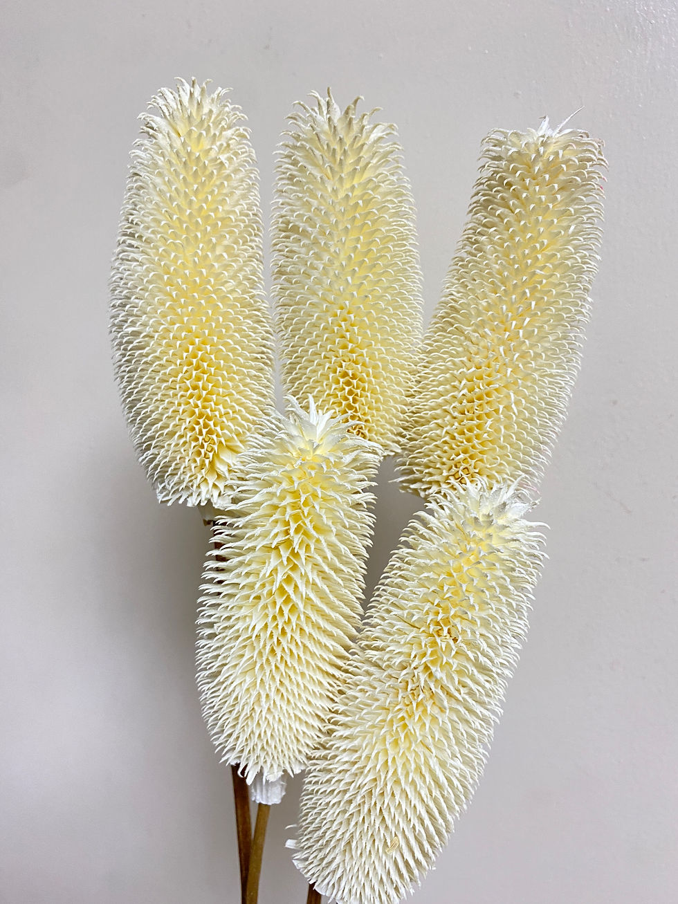 Thumbnail: Hair fruit