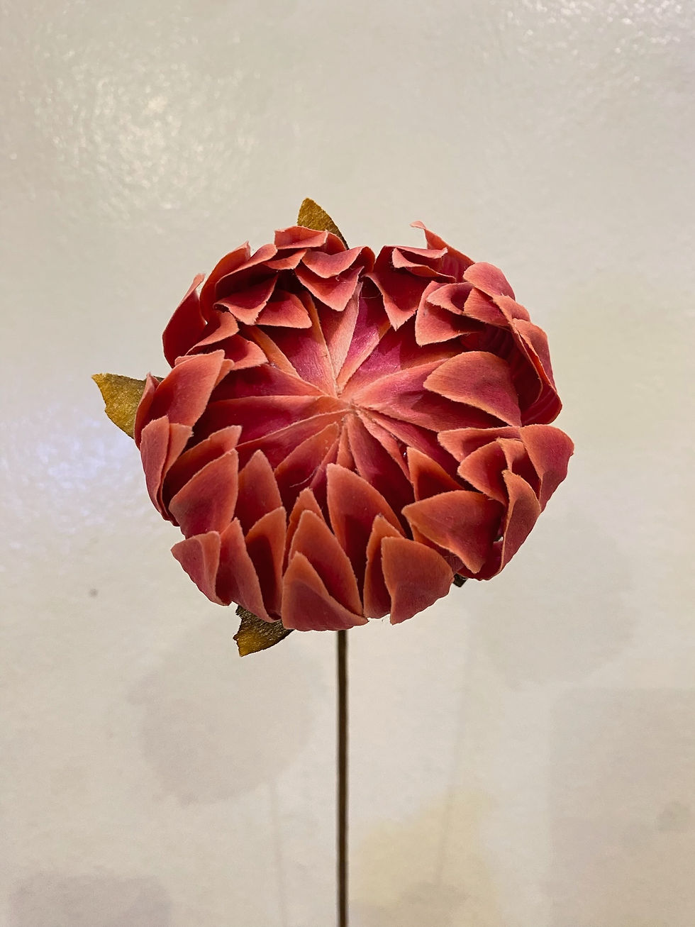 Handmade Protea