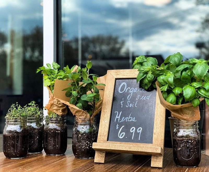 organic plants for sale outside of Botanical Vegan Cafe