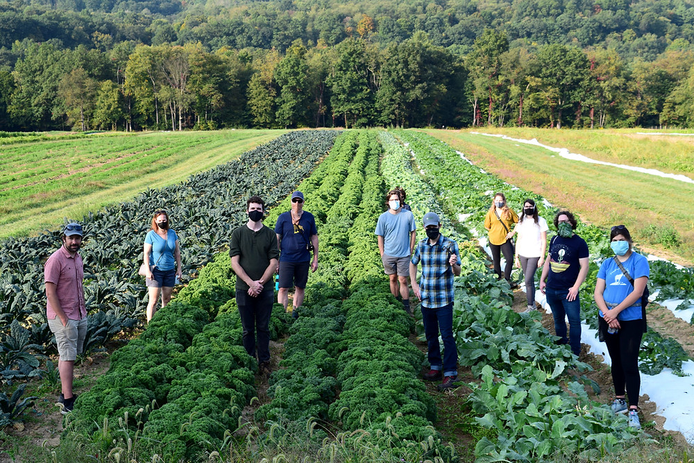 The team at Harvie, a Honeycomb alumni
