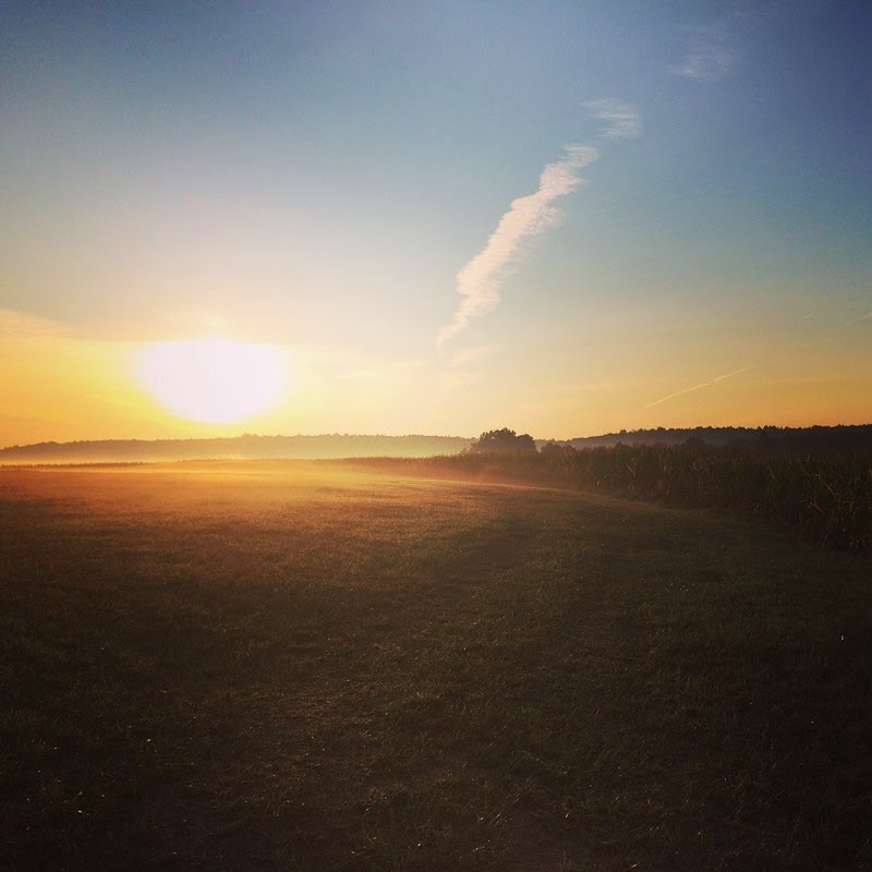The sun rises over a field at Clarion River Organics farm