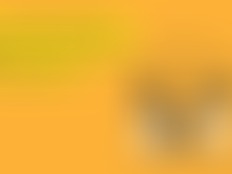 Your Ultimate National Small Business Saturday 2021 Shopping Guide