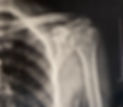 image00001.jpeg