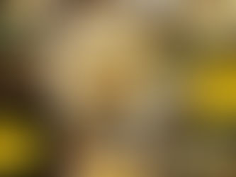 What is Culinary Medicine?