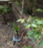 A small garden with a brick wall, plants, a young tree tied to a stick, and a solar light on gravel. Greenery and red leaves are visible.