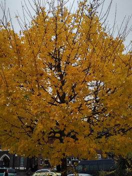 New beginnings make me anxious