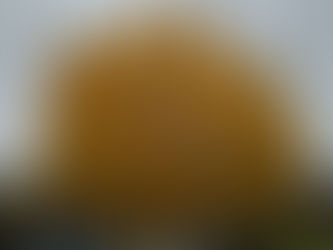 New beginnings make me anxious