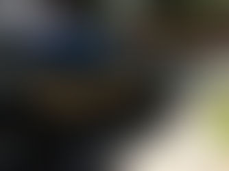 Homem é preso em Jales por tentativa de fraude bancária com documentos falsos