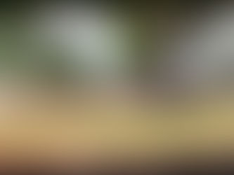 Homem é preso em Jales por receptação de gado furtado; animais são recuperados