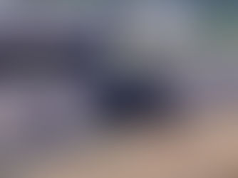 Animal solto causa engavetamento com três veículos na Rodovia Euclides da Cunha