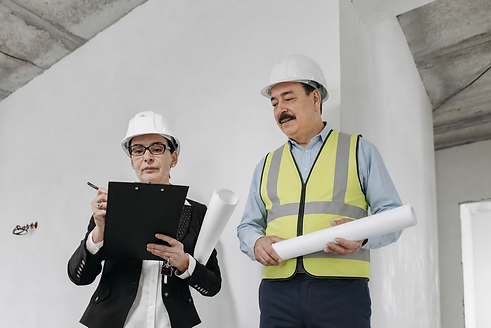 site assessment1.png
