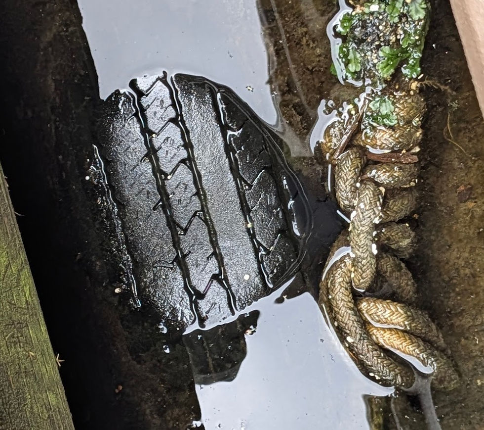 Are tires on our dock or boat really that harmful to the environment?