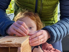 Building Homes for Our Swallows