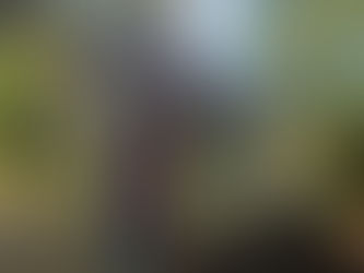 A Tiny Museum with a Big Story: The Launch of the "World’s Smallest Houseboat Museum"