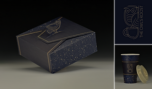 Project Thumbnails_edited.png