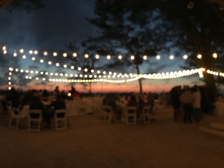 Enchanting Exchange of Vows: Florida Destination Weddings