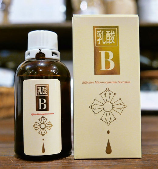 未開封☆乳酸菌培養エキス食品　生源ゴールド 180本✕2 箱1.5g×計360本 未開封☆乳酸菌培養エキス食品 生源ゴールド 180本✕2 箱1.5g×計360本