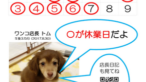 GWの営業予定