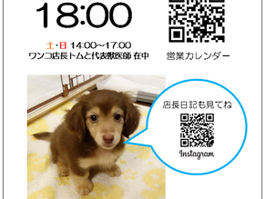 定休日の変更