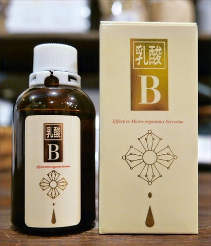 乳酸B EX 乳酸菌利用食品