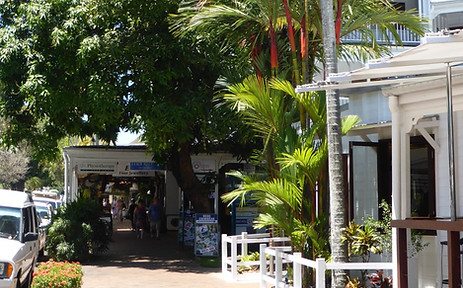 Macrossan-street-port-douglas.JPG