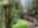 Puffing Billy train melbourne