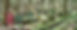 PANO_2026-04-26_15-03-45.jpg
