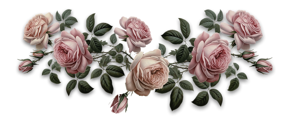 Rosebudd Shawty Photographed by Aurora Knights creative photography