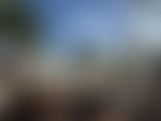 My Favorite Dreams Resorts in Punta Cana. Which One Is Right for You?