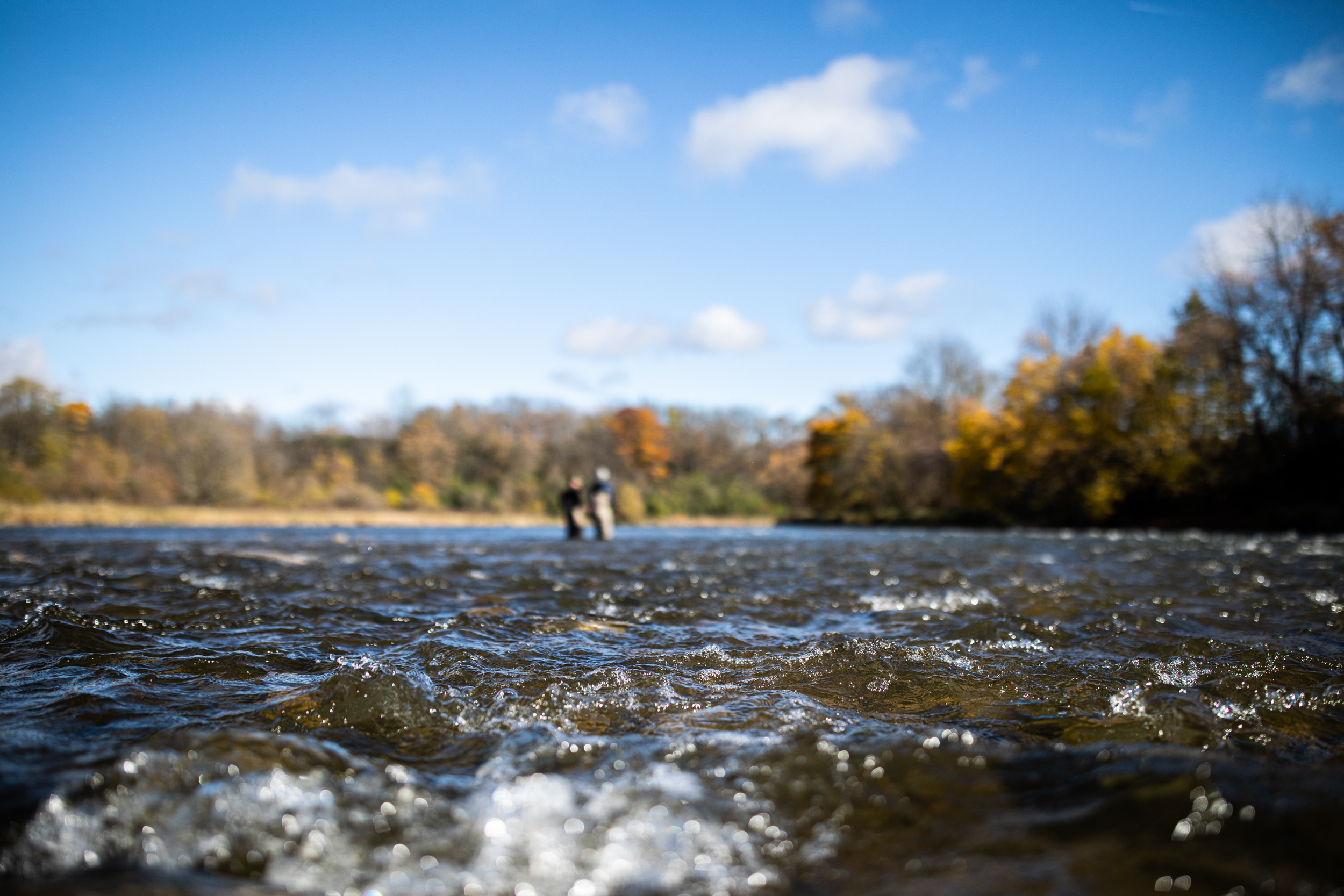 Steelhead fishing packages — Fly Water Guiding – Fly Water Guiding