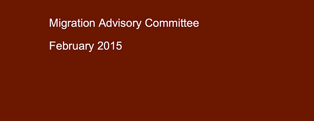 advisory committee rafael dos santos.png